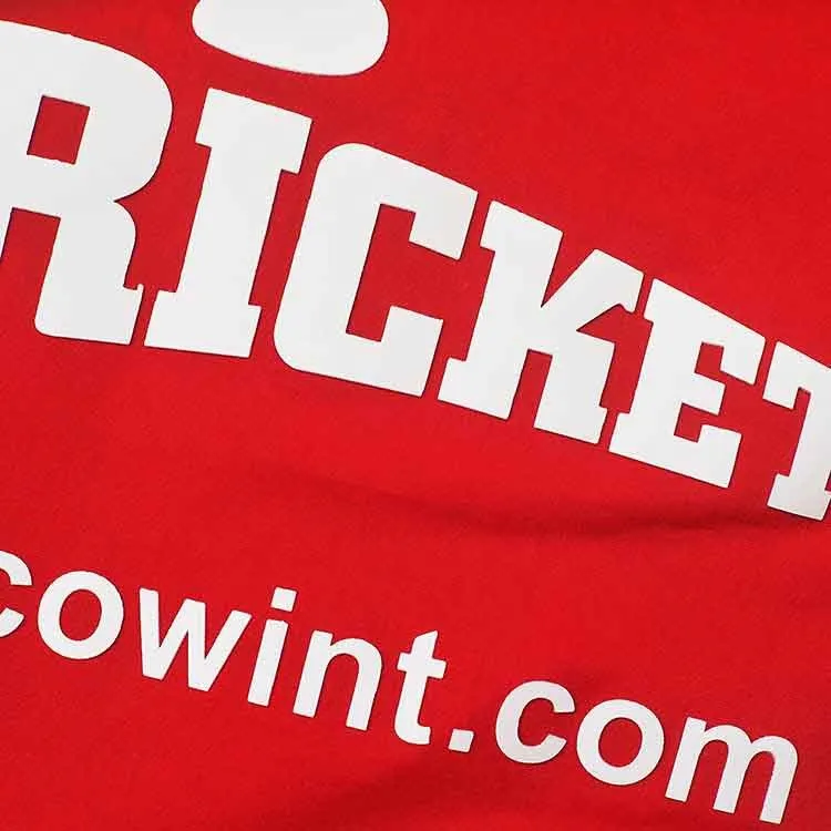 Audinių 4D spausdinimas